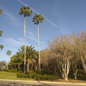 Meet your Posher, Lexi